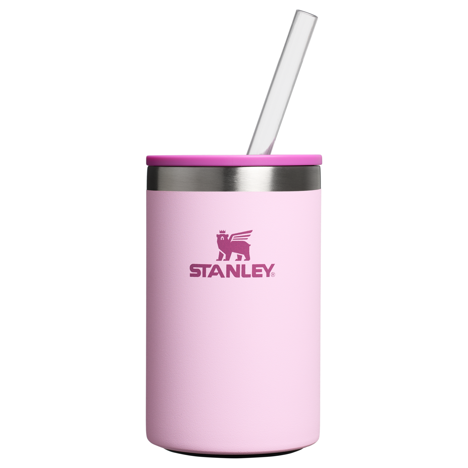 The Everyday Can Cooler Cup | 10 OZ